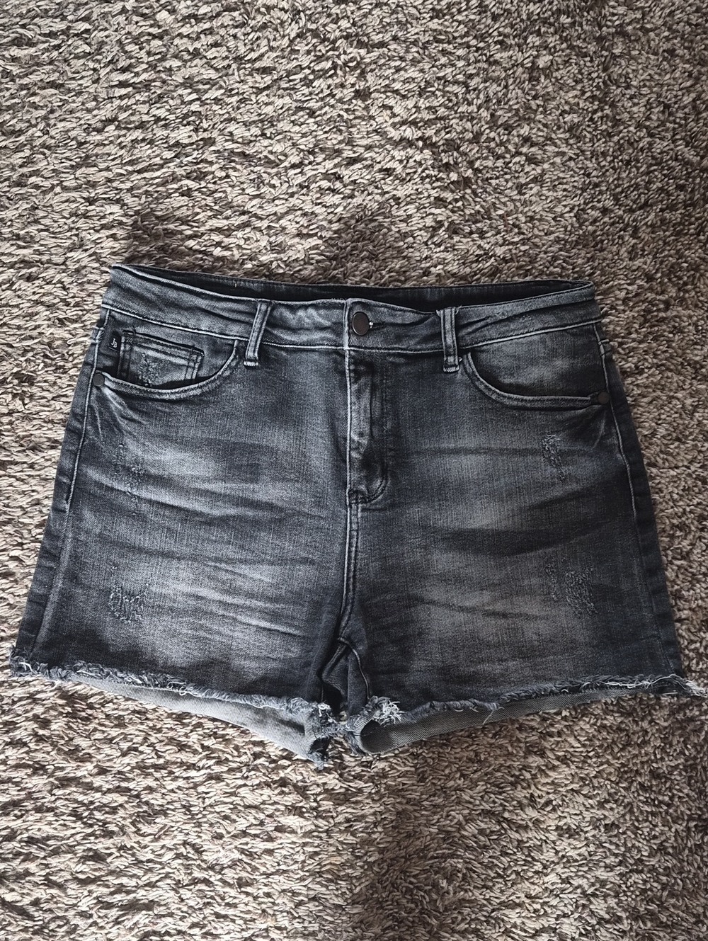 Judy Blue Washed Black Jean Shorts